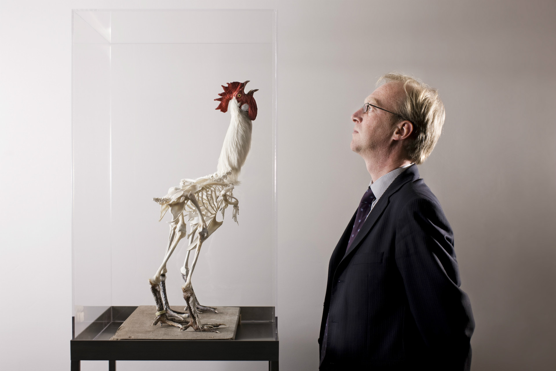 AVANTGAND - Lieven Dirckx