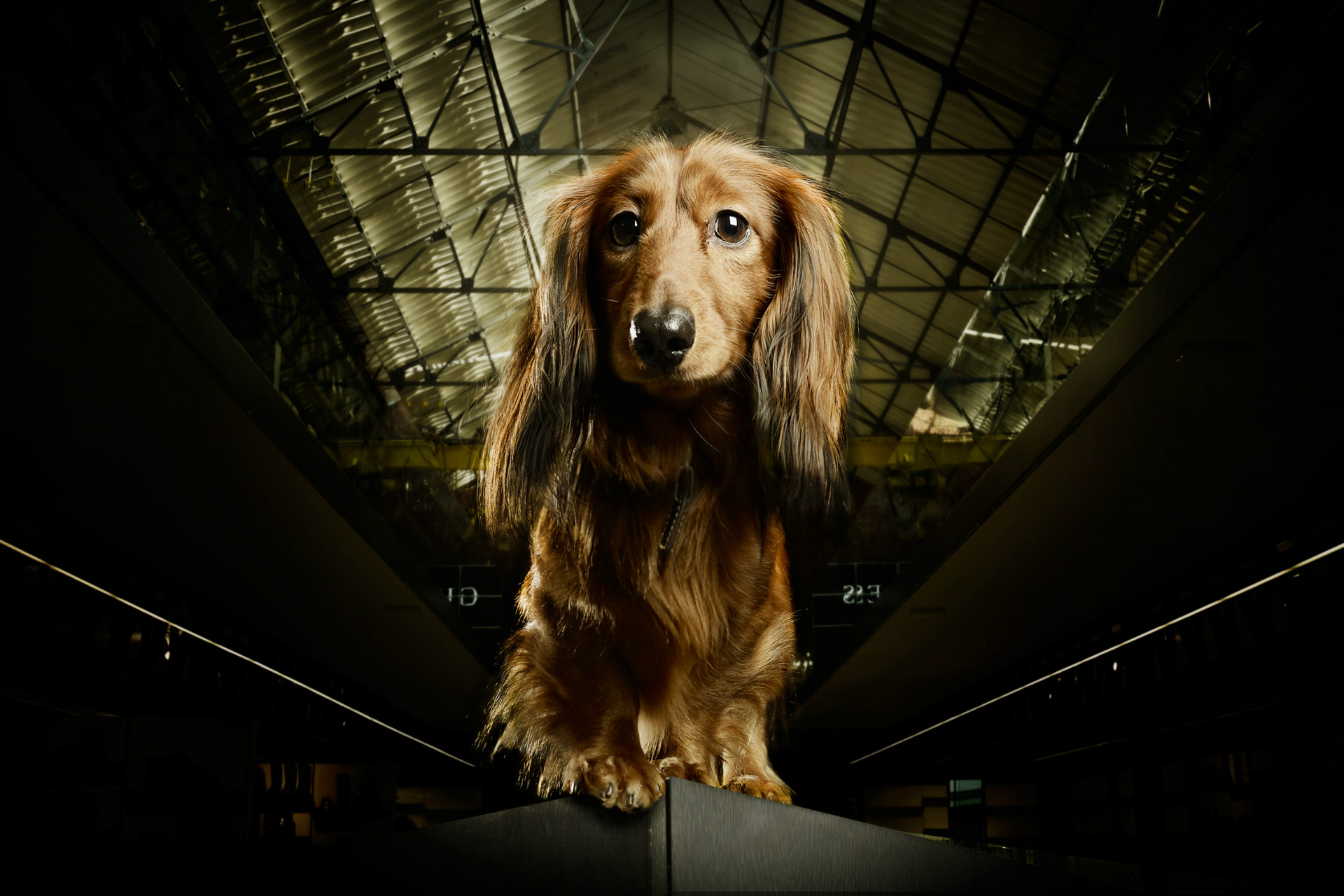 AVANTGAND - Lieven Dirckx